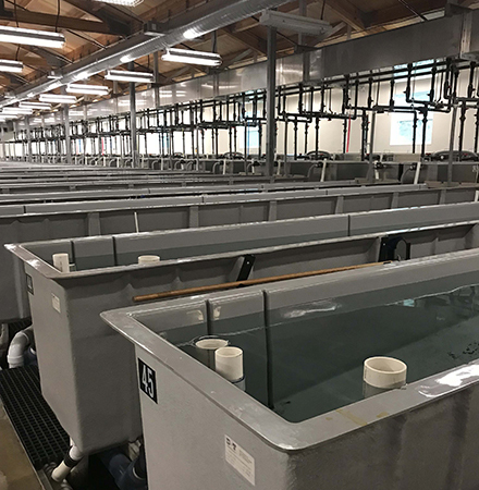 Aquaculture Raceway Tanks